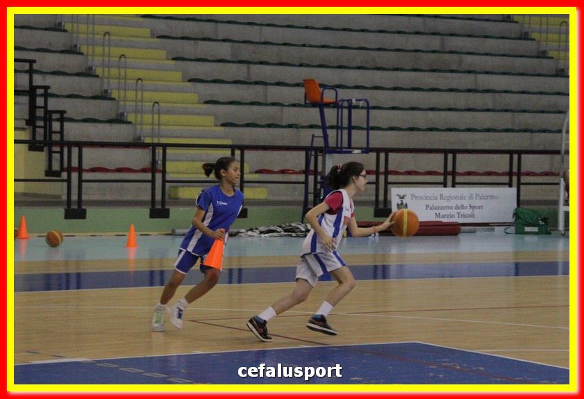 140505 basket 210_tn.jpg